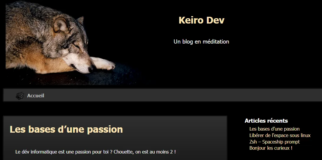 Blog de développement